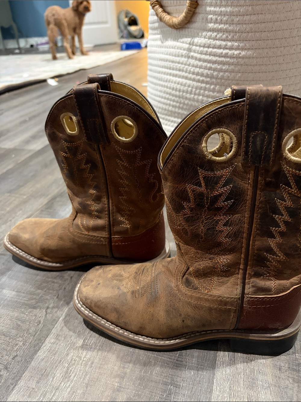 Kids Brown Pull-On Western Boots